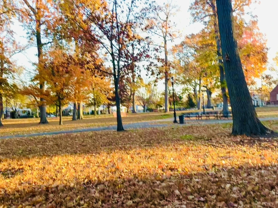 IMG_4085.jpg?type=w966