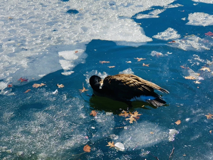 IMG_5165.jpg?type=w966