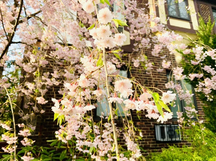 IMG_3788.jpg?type=w966