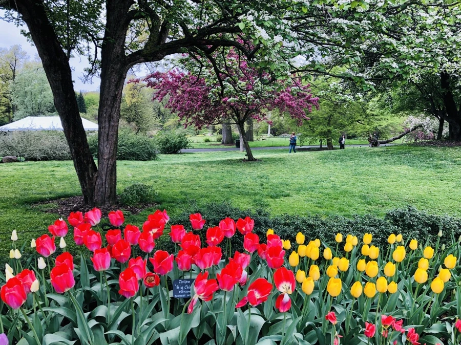 IMG_3745.jpg?type=w966