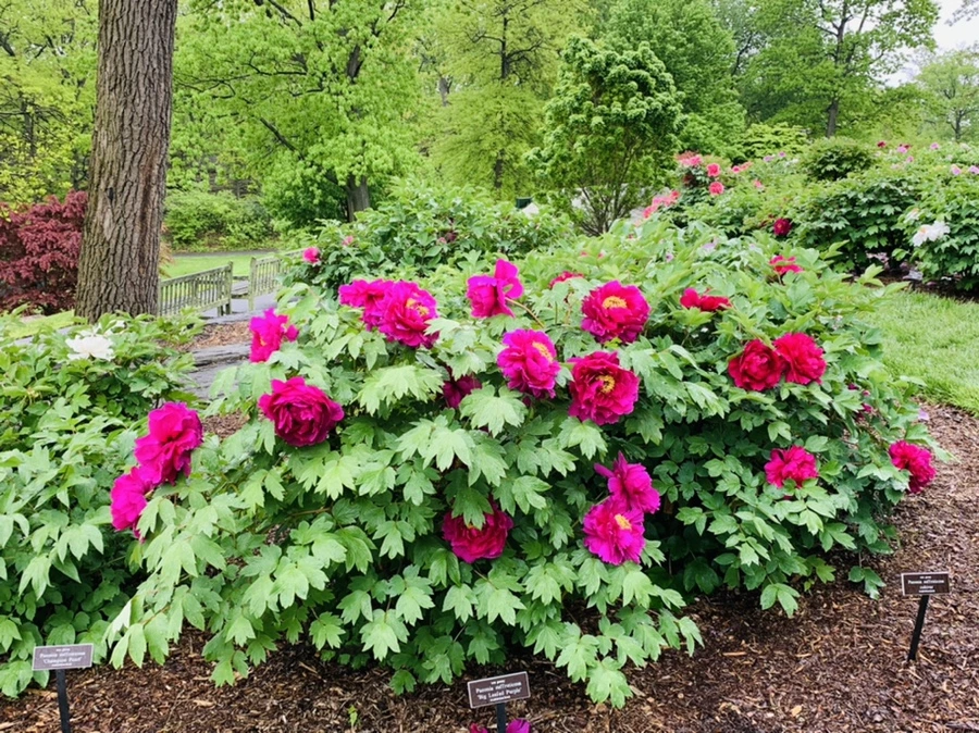 IMG_9958.jpg?type=w966