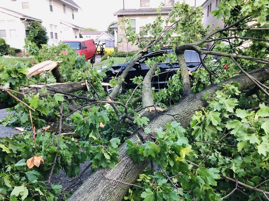 IMG_5840.jpg?type=w966