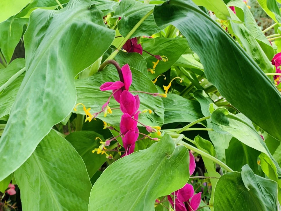 IMG_9388.jpg?type=w966