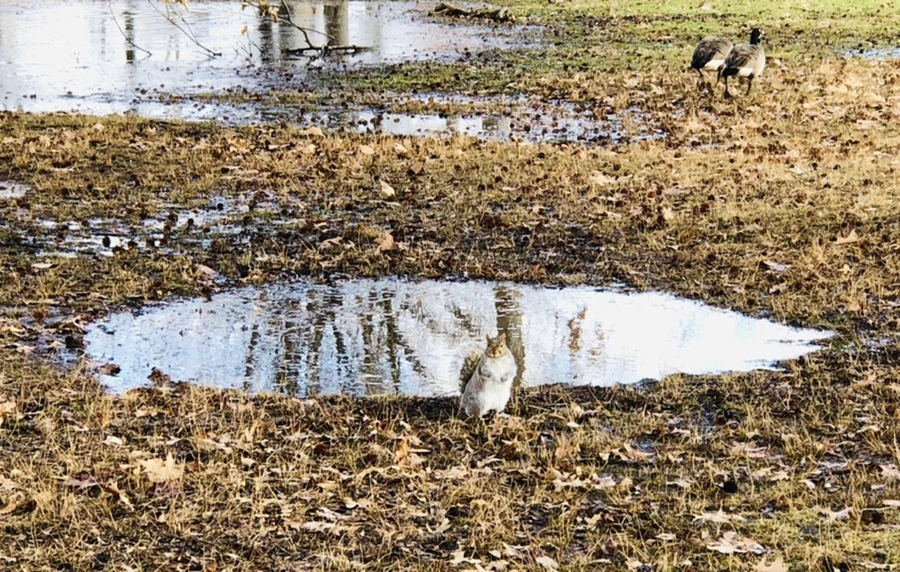 IMG_3575.jpg?type=w966