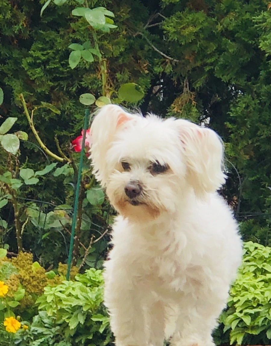 HxO8WlEySuDw1gL3XQDanheAIyQ