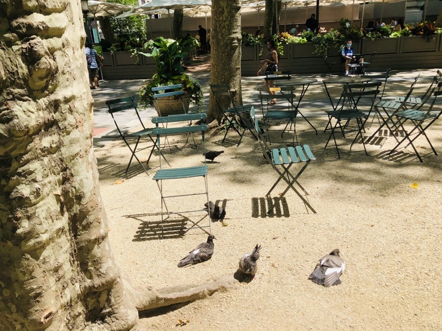 IMG_5285.jpg?type=w966