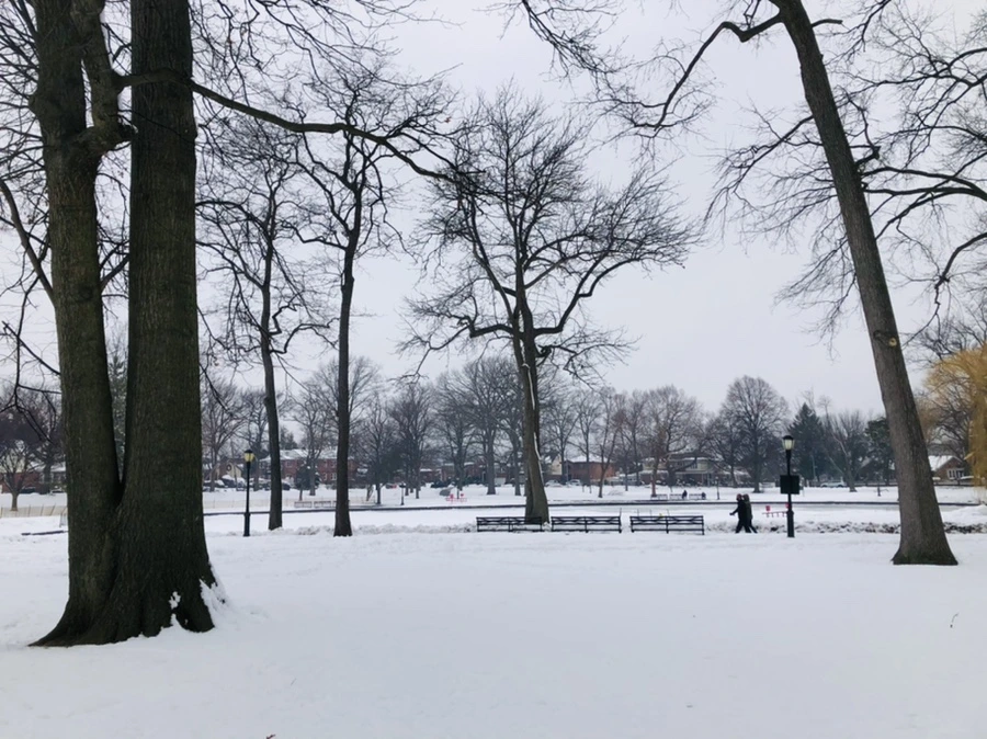 IMG_1555.jpg?type=w966