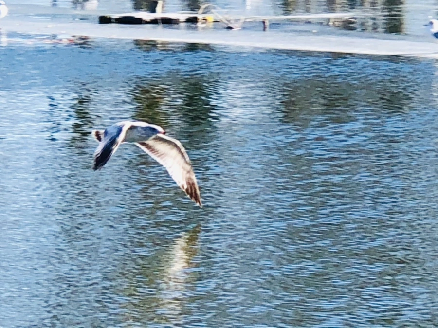 IMG_5568.jpg?type=w966