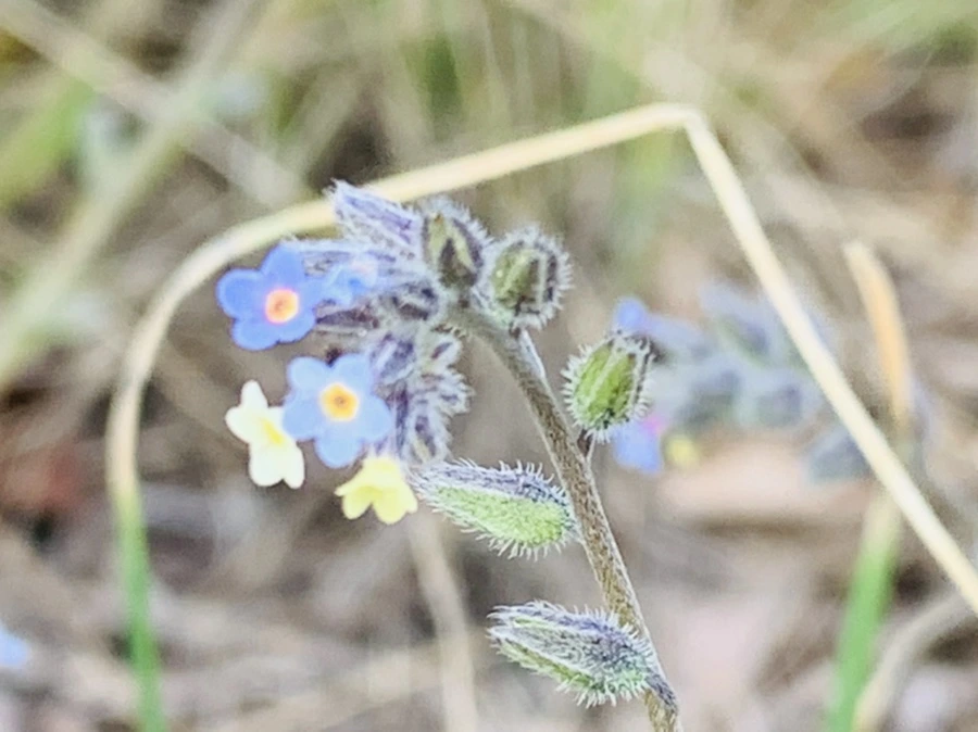 IMG_8667.jpg?type=w966