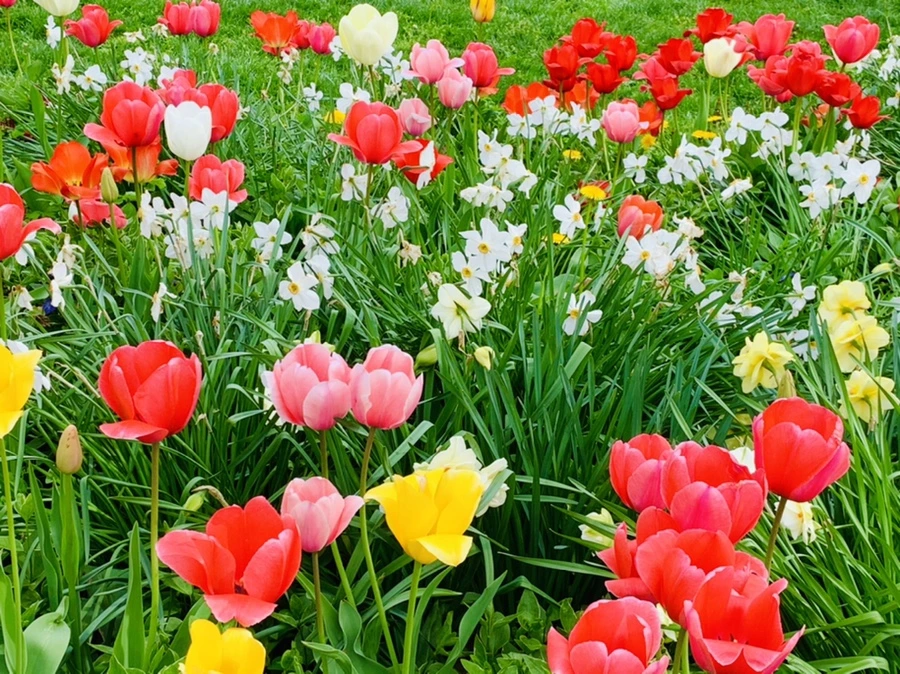 IMG_6967.jpg?type=w966