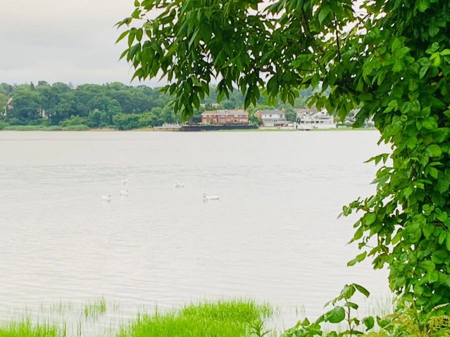 IMG_7094.jpg?type=w966