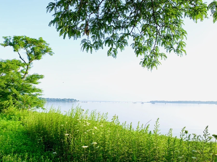 IMG_6523.jpg?type=w966