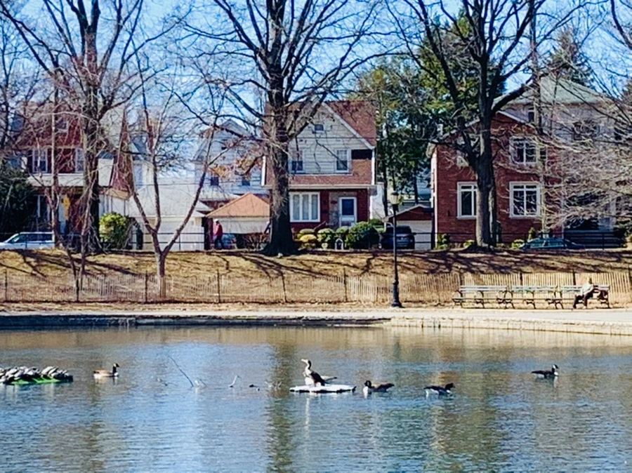 IMG_0582.jpg?type=w966