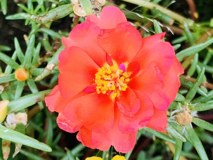 IMG_5921.jpg?type=w966