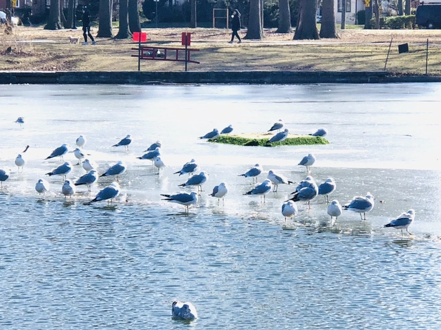 IMG_6824.jpg?type=w966