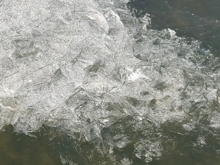 IMG_7904.jpg?type=w966