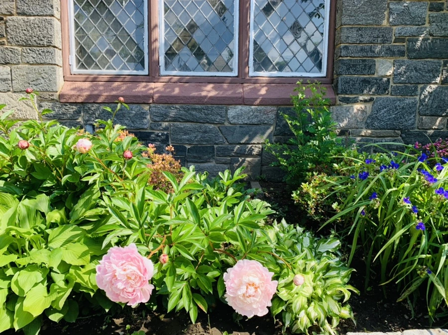 IMG_4708.jpg?type=w966