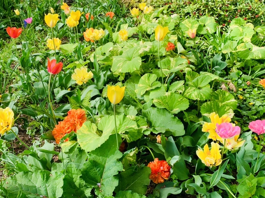 IMG_6999.jpg?type=w966