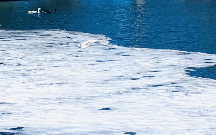 pUvvTwIZ5q3qG2XJGA2F1xzS4b4