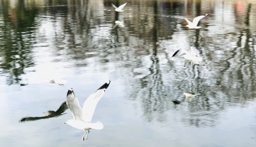 IMG_9869.jpg?type=w966