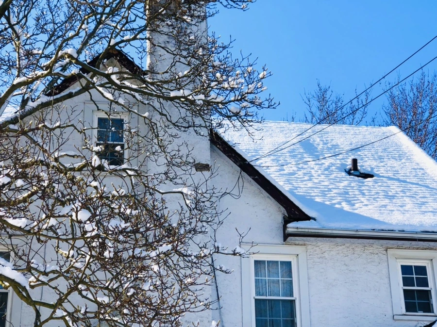 IMG_1400.jpg?type=w966