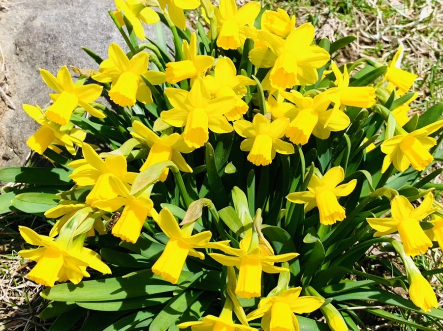 IMG_3252.jpg?type=w966