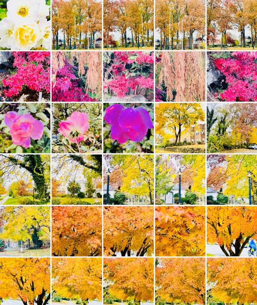 IMG_4960.jpg?type=w966