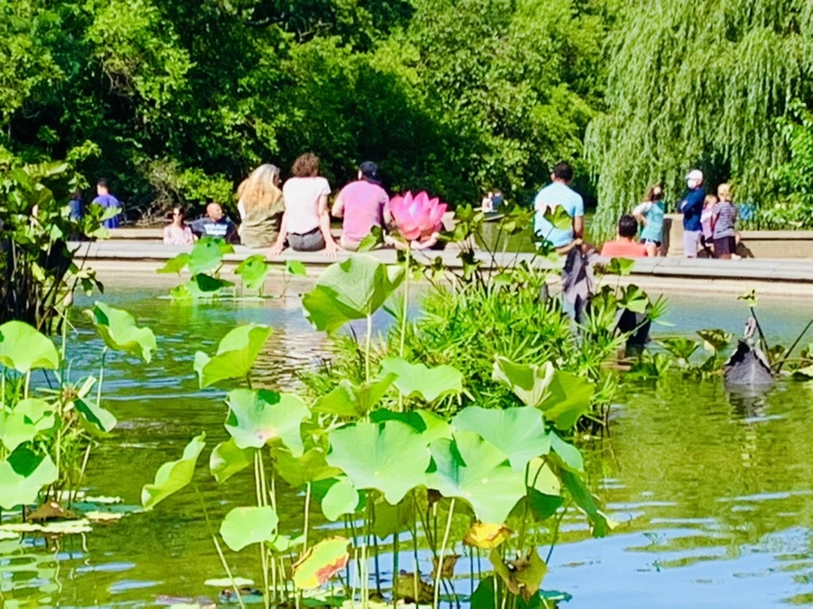 IMG_4497.jpg?type=w966