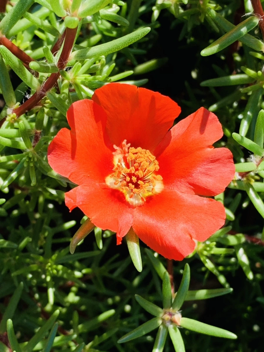 IMG_8400.jpg?type=w966