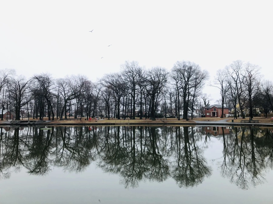 IMG_0029.jpg?type=w966