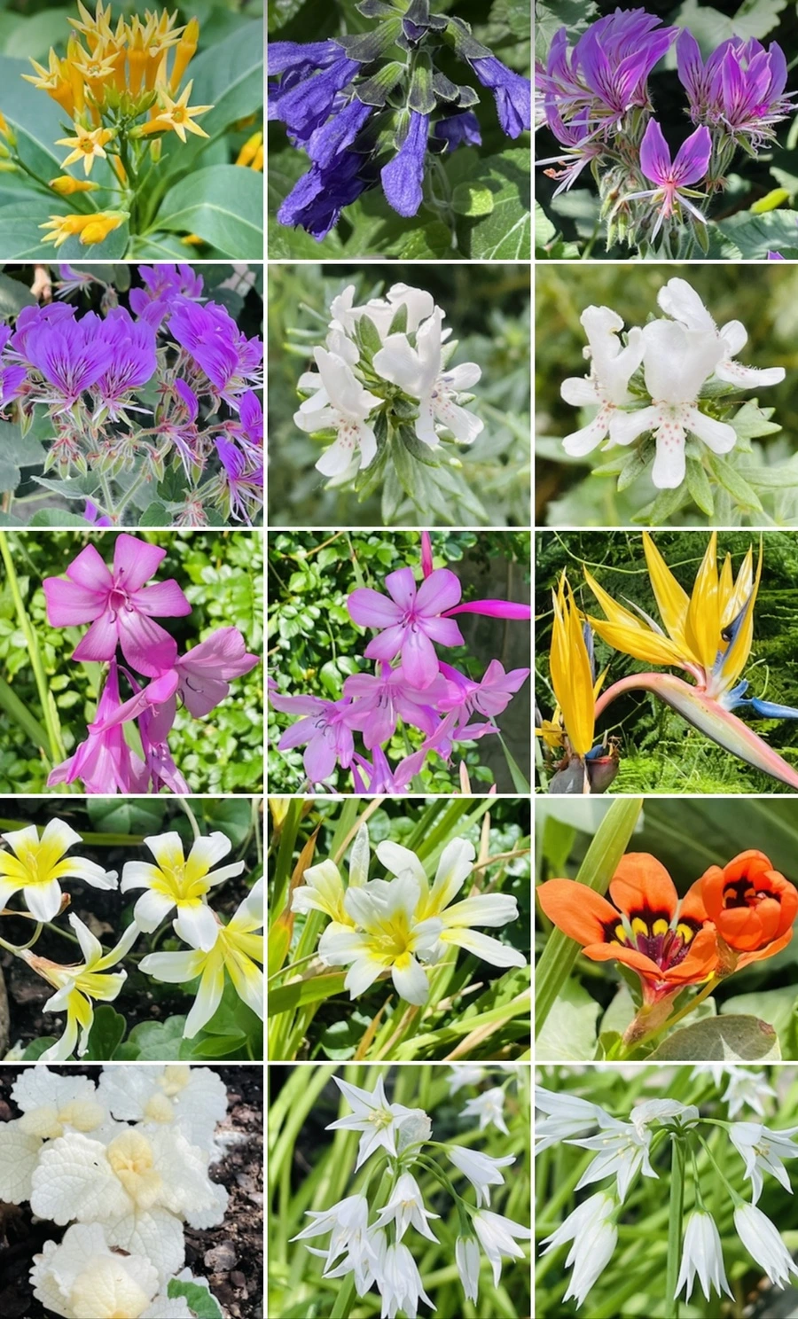 IMG_5413.jpg?type=w966