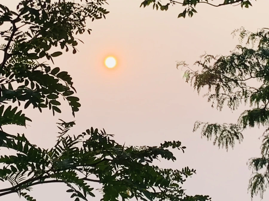 IMG_8487.jpg?type=w966