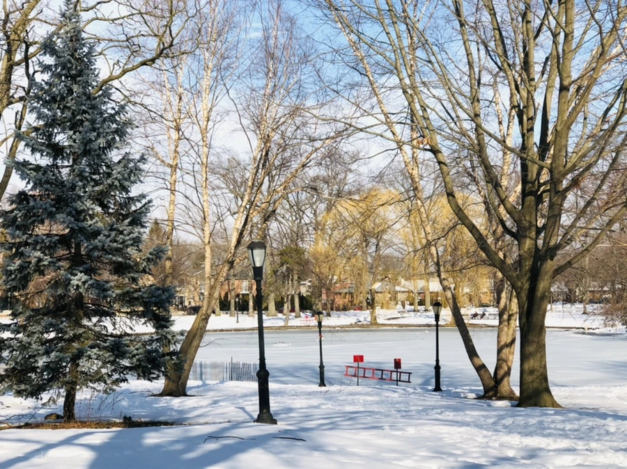 IMG_0369.jpg?type=w966