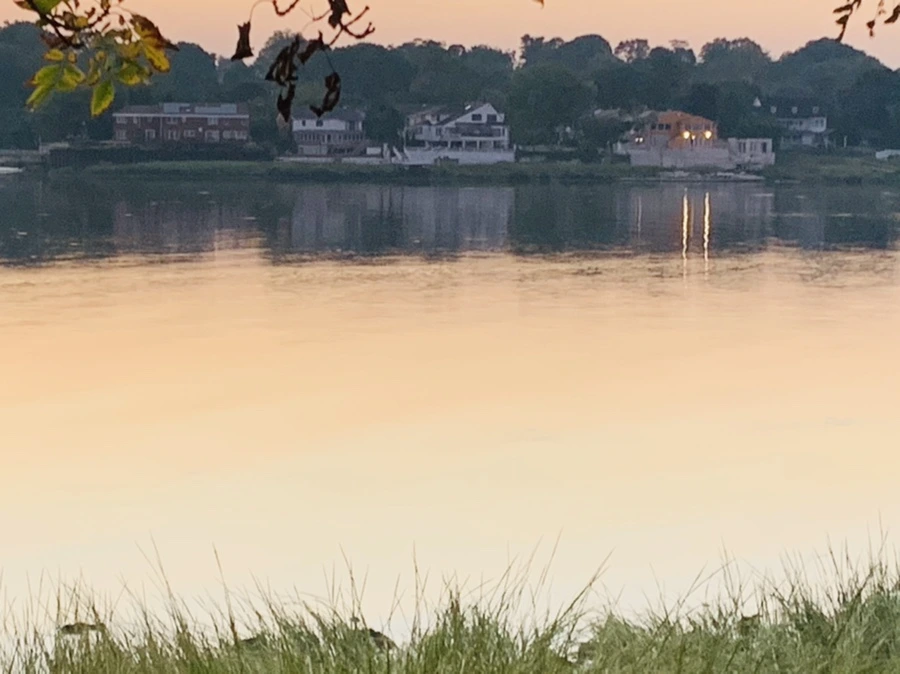 IMG_4358.jpg?type=w966