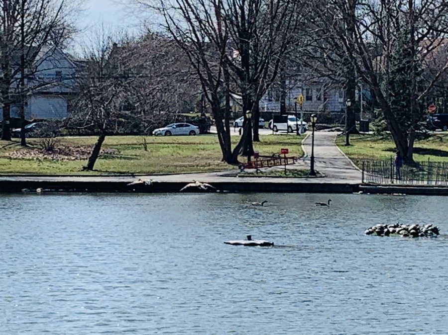 IMG_4457.jpg?type=w966