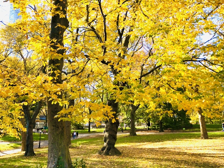 IMG_3434.jpg?type=w966