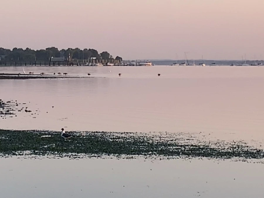 IMG_0167.jpg?type=w966