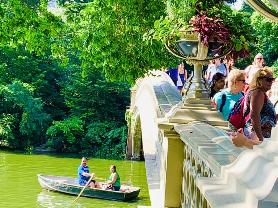 IMG_3474.jpg?type=w966