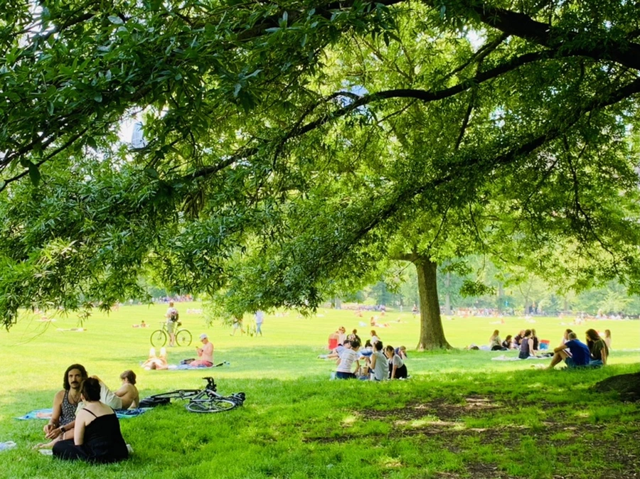 IMG_4967.jpg?type=w966