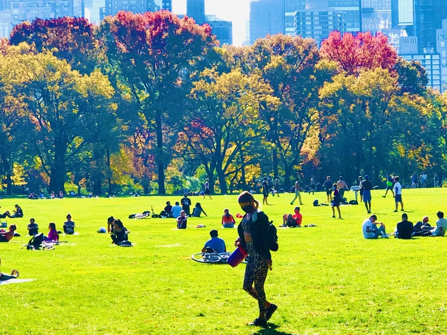 IMG_3831.jpg?type=w966