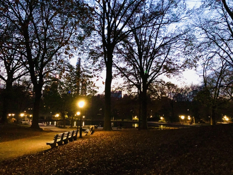 IMG_5407.jpg?type=w966