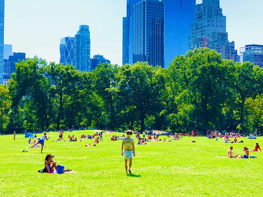 IMG_9339.jpg?type=w966