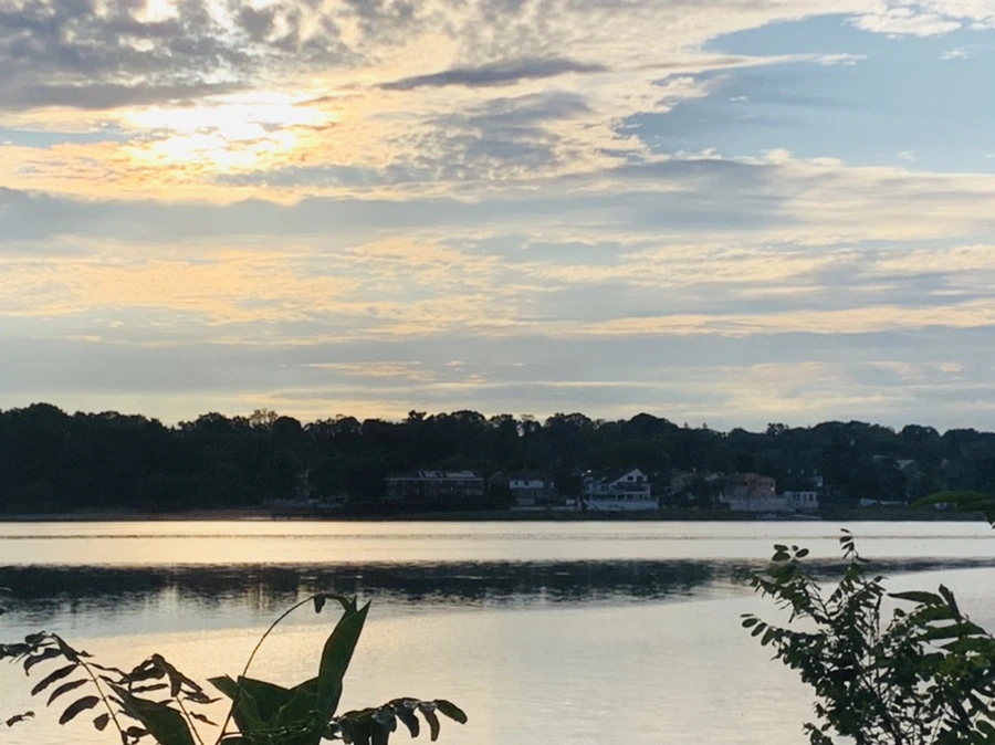 IMG_7743.jpg?type=w966