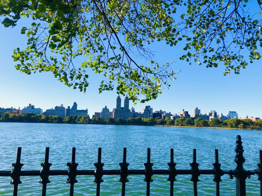 IMG_1712.jpg?type=w966