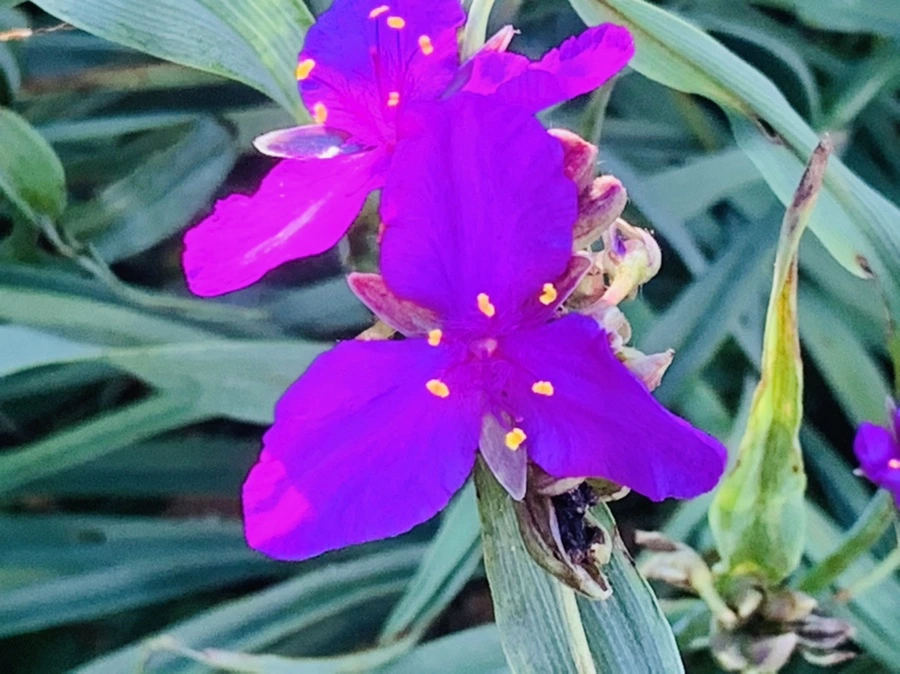 IMG_3988.jpg?type=w966