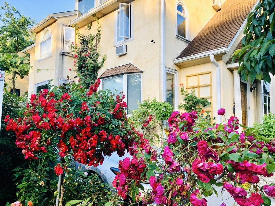 IMG_9017.jpg?type=w966