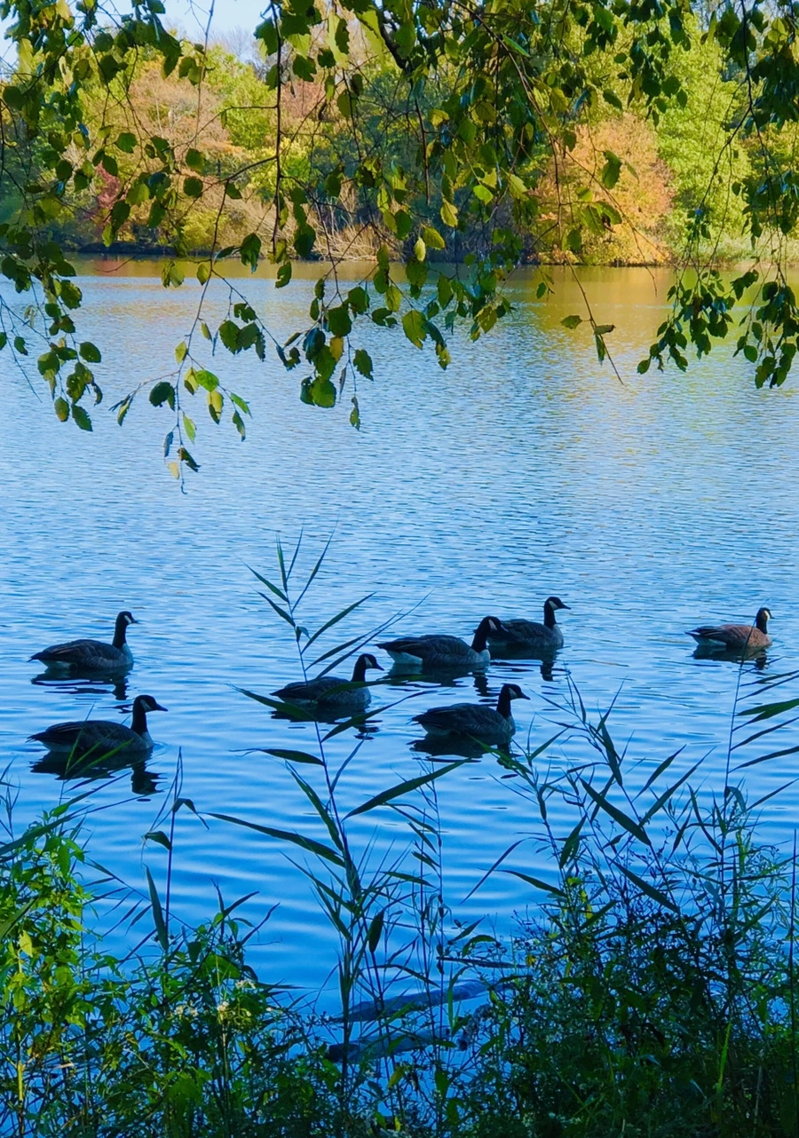 IMG_3228.jpg?type=w966