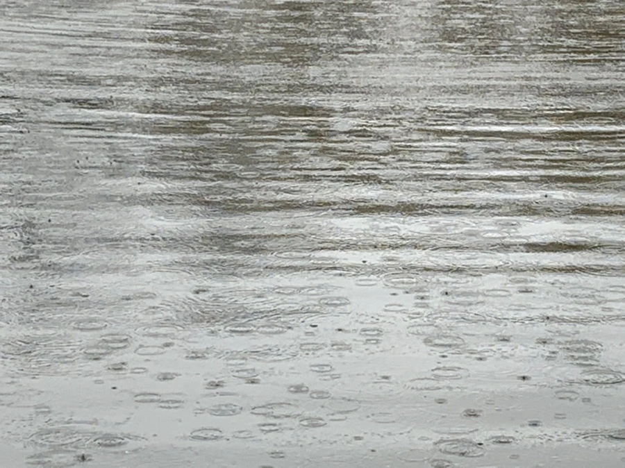 IMG_2111.jpg?type=w966