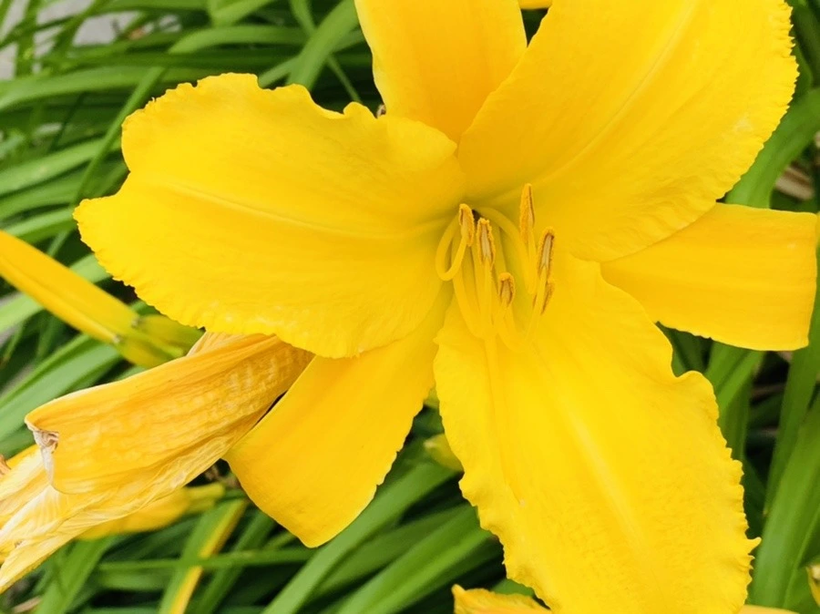 4wH2fBQ7Dk4Sz6O1qmzw90TZtzo