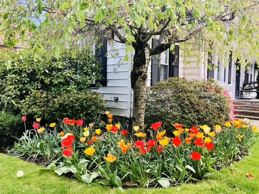 ZMtWdOwXyROJrnhh2HjovKriZNA